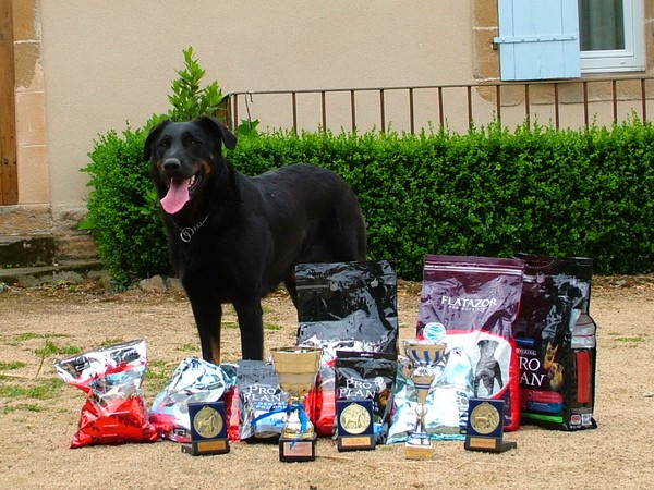 CH. Daphnee Des habits de feu